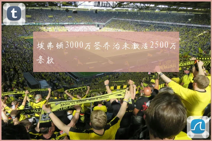 埃弗顿3000万签乔治未激活2500万条款