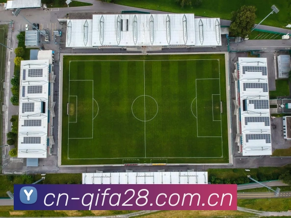 奇发28平台 APP界面展示